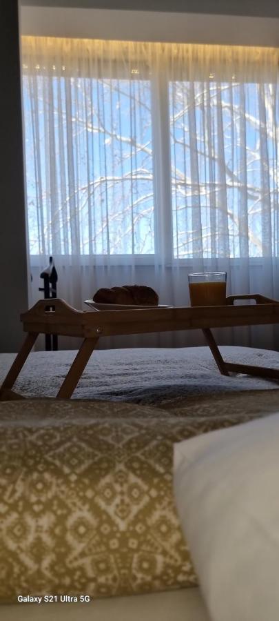 Rosewood Podgorica Apartment Екстериор снимка